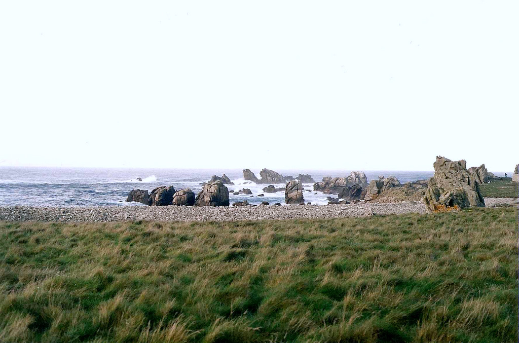 ouessant6