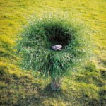 Land Art