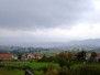 Brume