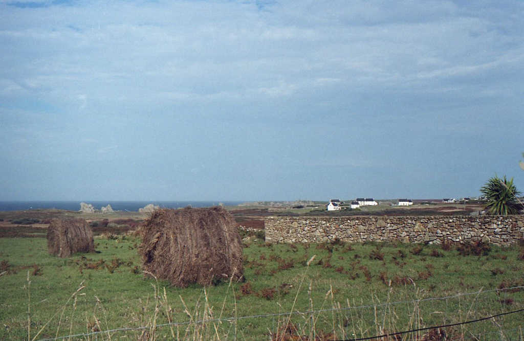 ouessant003