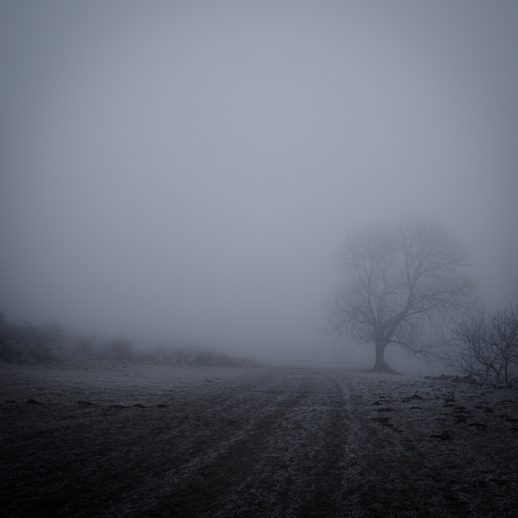 dsc_0798-12