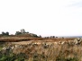 Ouessant