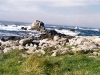 ouessant10